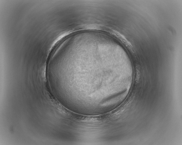 X0000115191174200911181442