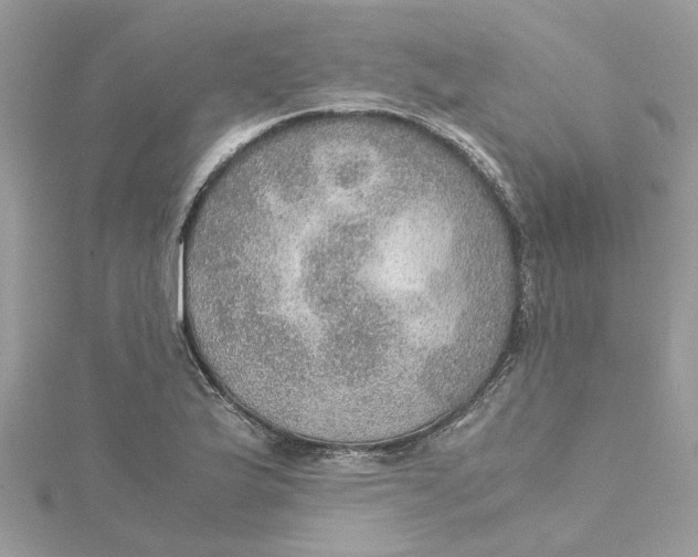 X0000115191175200911181442