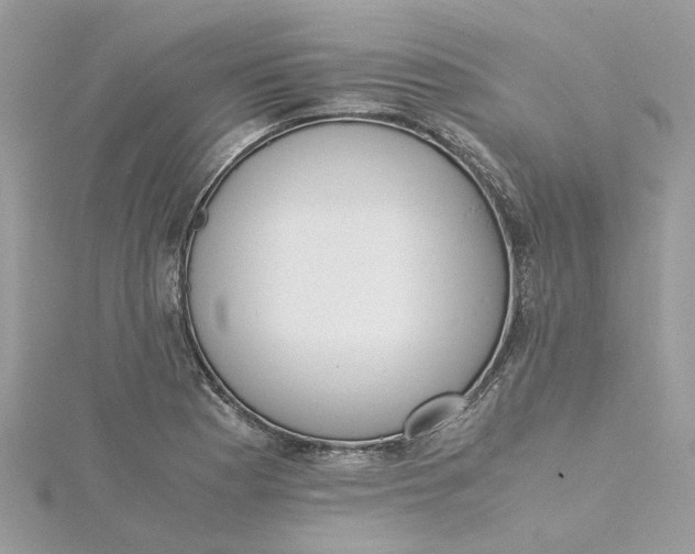 X0000115191177200911181442