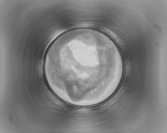 X0000115191178200911181442