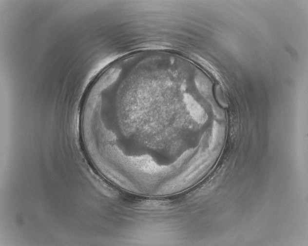 X0000115191179200911181442