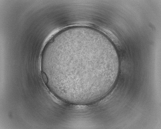 X0000115191180200911181442