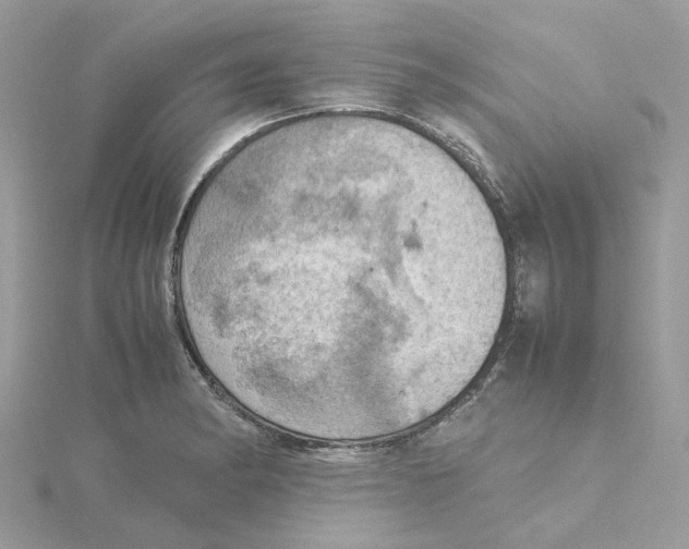 X0000115191182200911181442