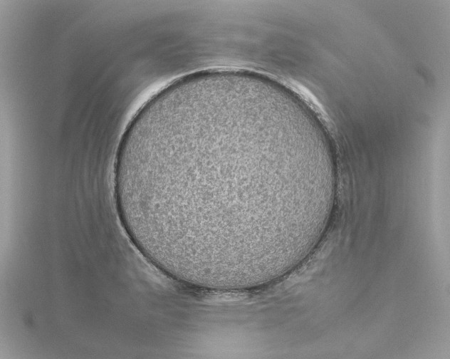 X0000115191183200911181442