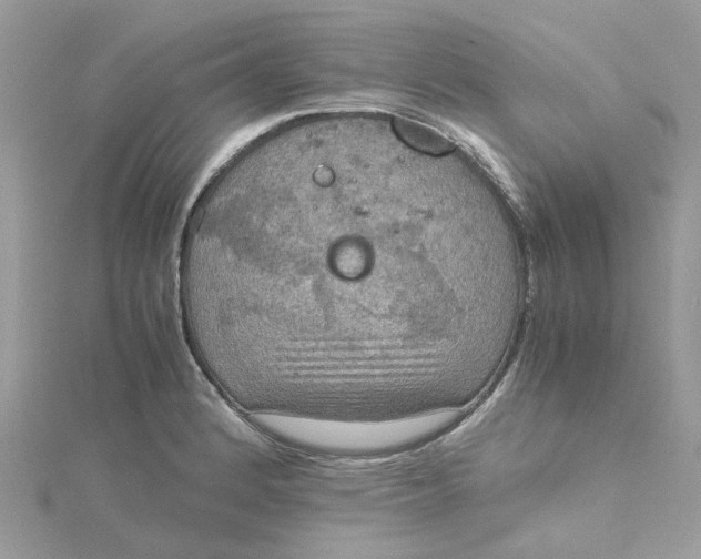 X0000115191184200911181442