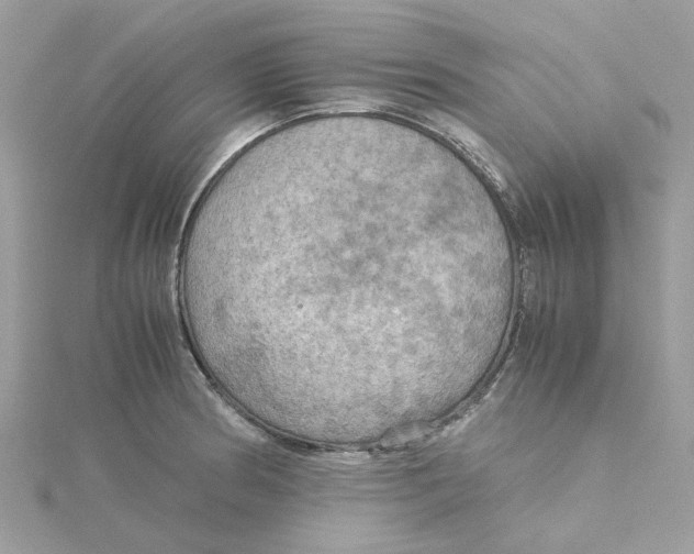 X0000115191186200911181442