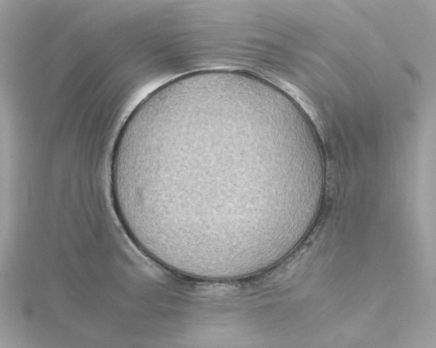 X0000115191187200911181442