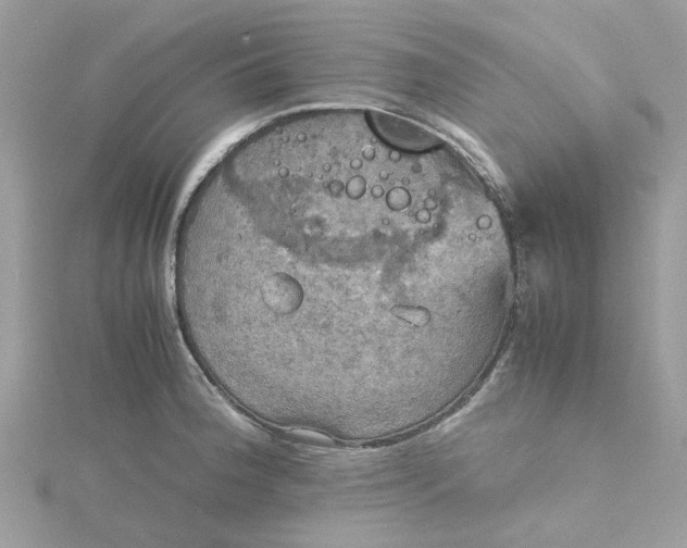 X0000115191188200911181442