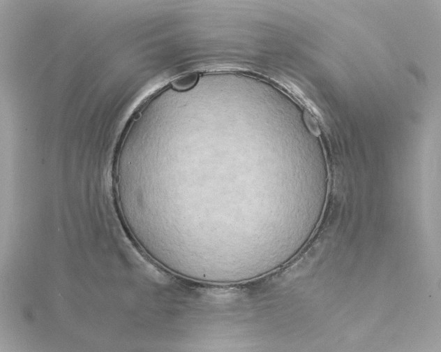 X0000115191189200911181442