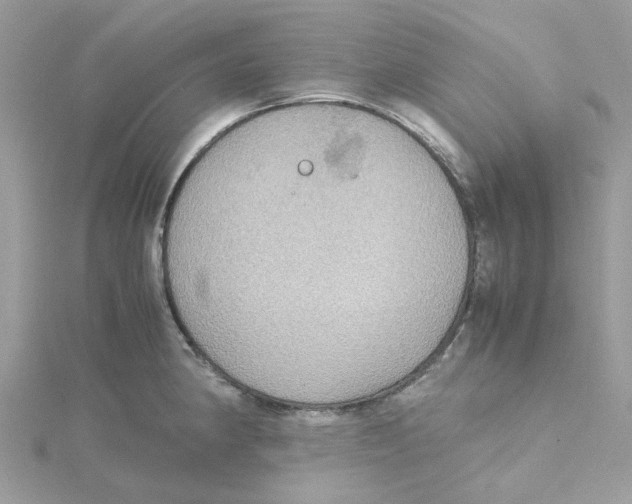 X0000115191190200911181442