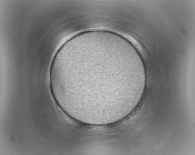 X0000115191191200911181442