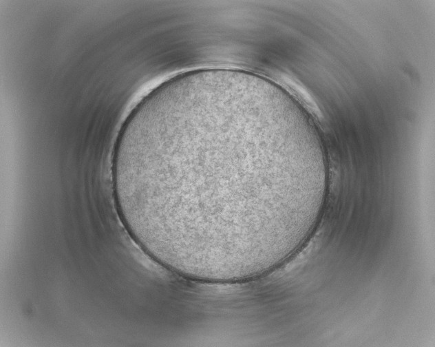 X0000115191192200911181442