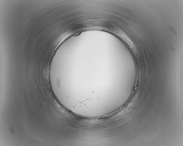 X0000115191193200911181442