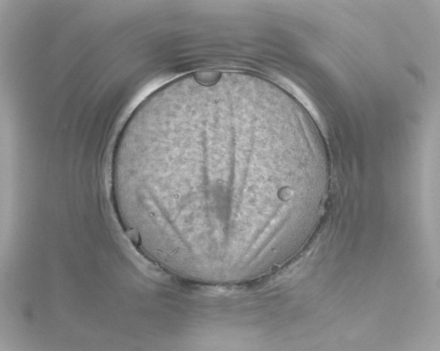 X0000115191195200911181442