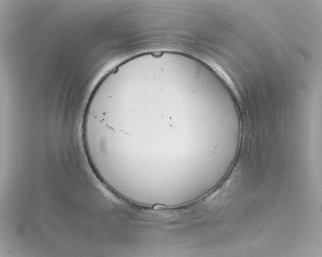 X0000115191197200911181442