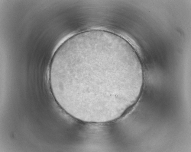 X0000115191198200911181441