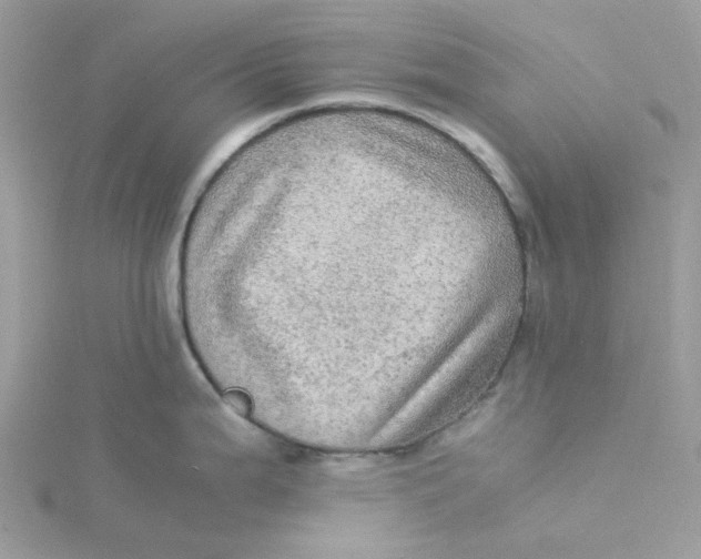 X0000115191199200911181441