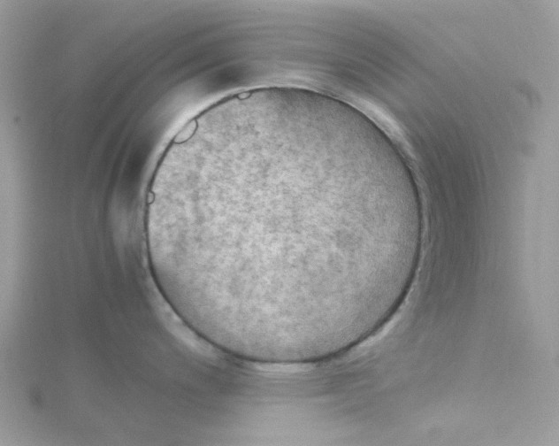 X0000115191200200911181441