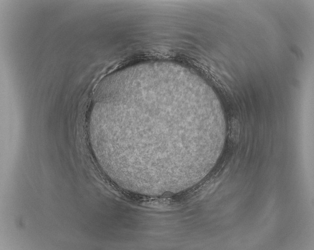 X0000115191201200911181441