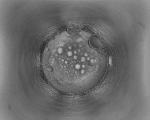 X0000115191203200911181441