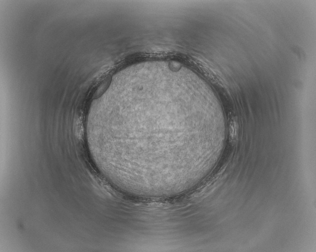 X0000115191204200911181441