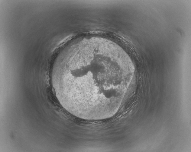 X0000115191205200911181441