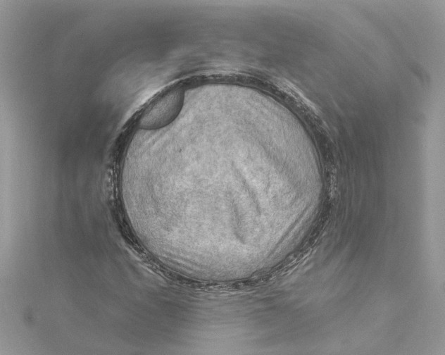 X0000115191208200911181441