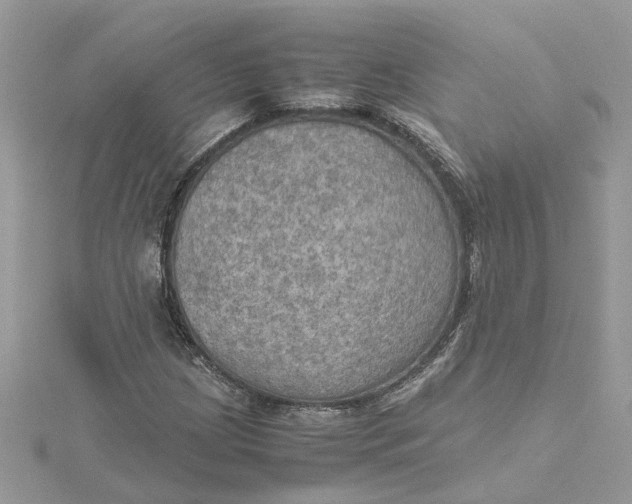 X0000115191209200911181441