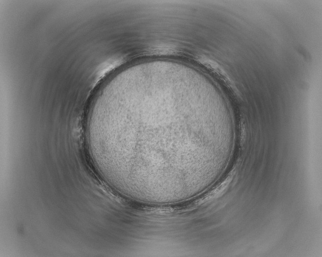 X0000115191210200911181441