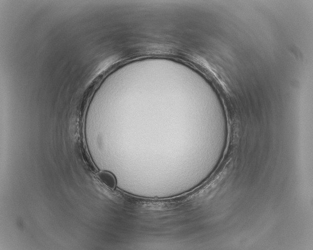 X0000115191211200911181441