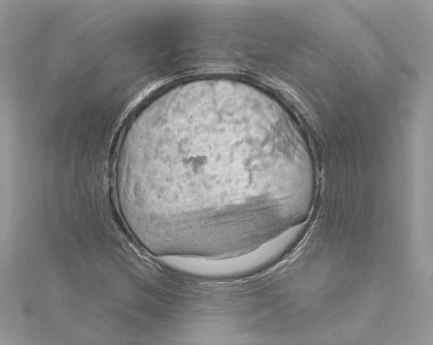 X0000115191212200911181441