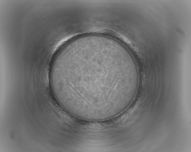 X0000115191214200911181441