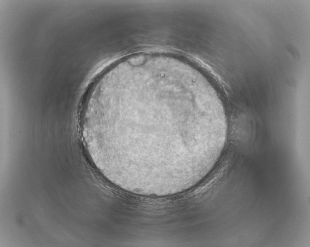 X0000115191215200911181441