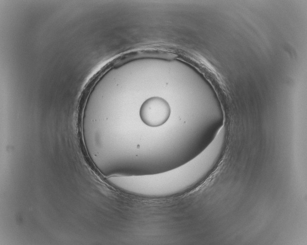 X0000115191216200911181441