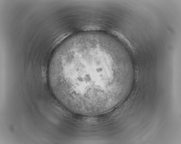 X0000115191217200911181441