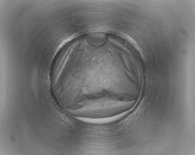 X0000115191218200911181441