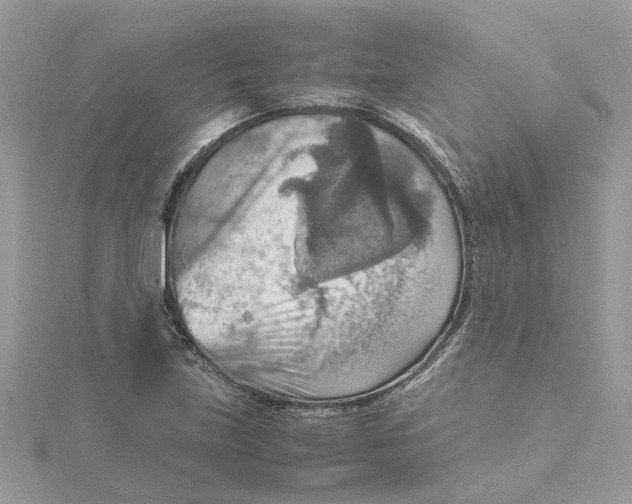 X0000115191219200911181441