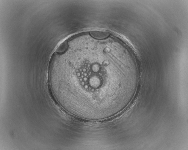 X0000115191220200911181441