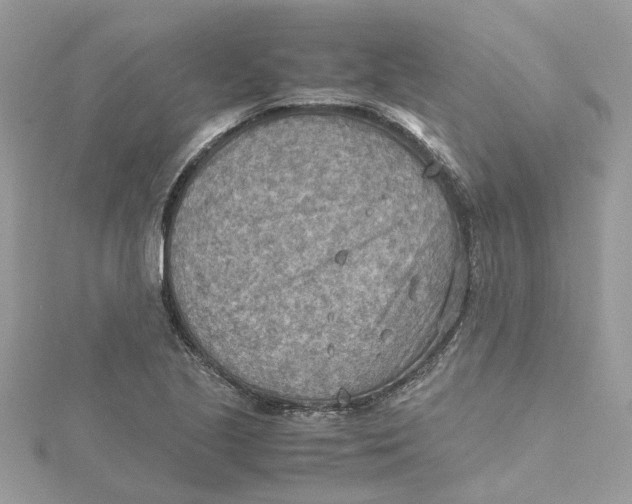 X0000115191221200911181441