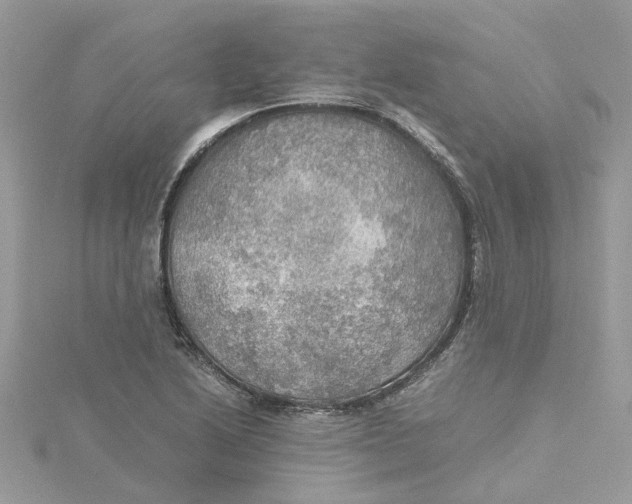 X0000115191222200911181441