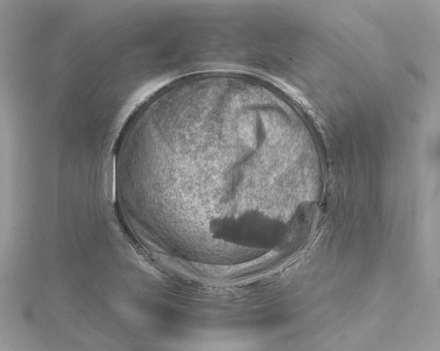 X0000115191223200911181441