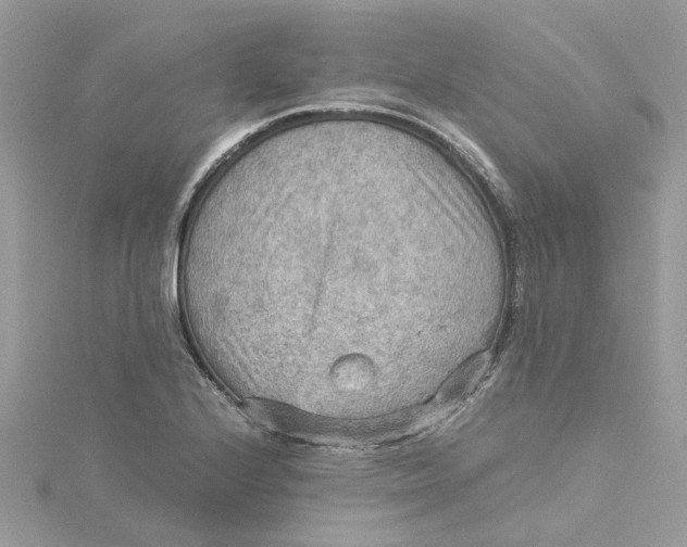 X0000115191224200911181441