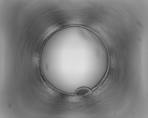 X0000115191225200911181441