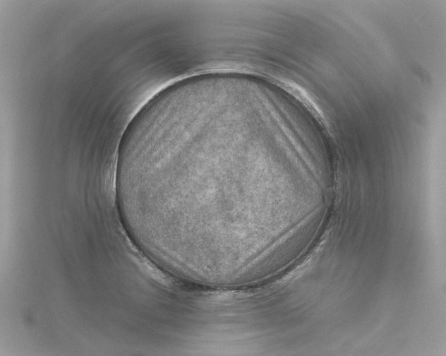 X0000115191228200911181441