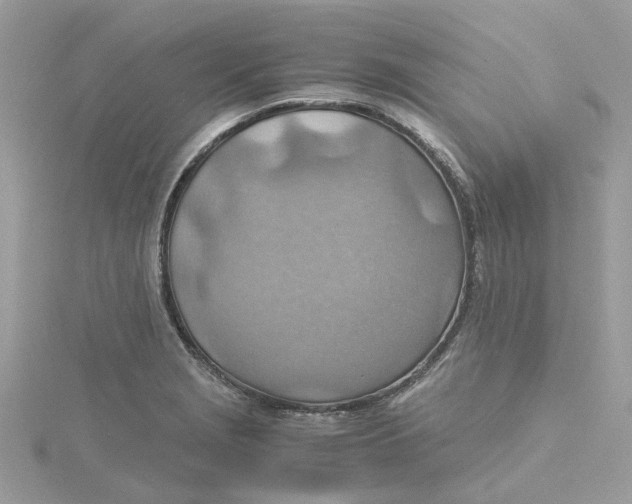 X0000115191229200911181441