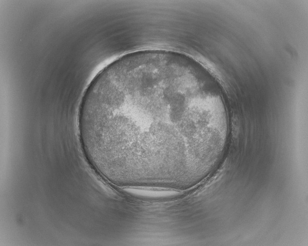 X0000115191230200911181441