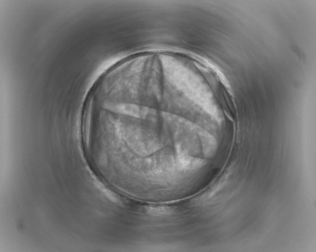 X0000115191231200911181441