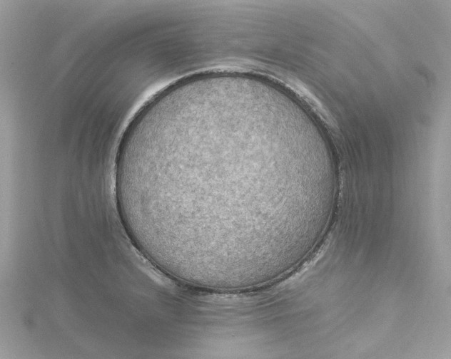 X0000115191232200911181441