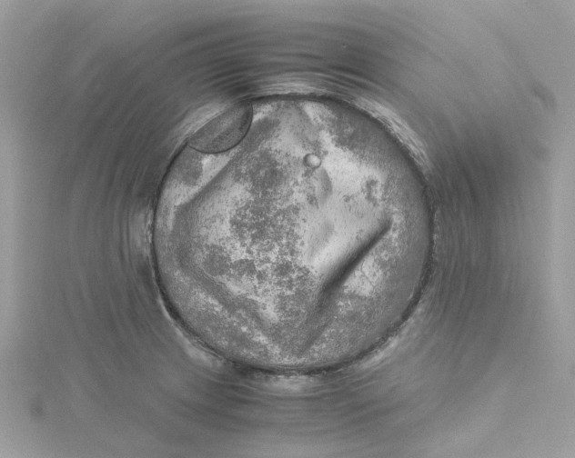 X0000115191233200911181441