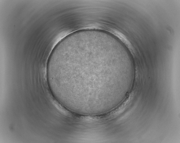 X0000115191234200911181441